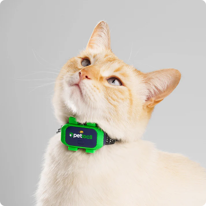 petloc8-gps-tracker-mini