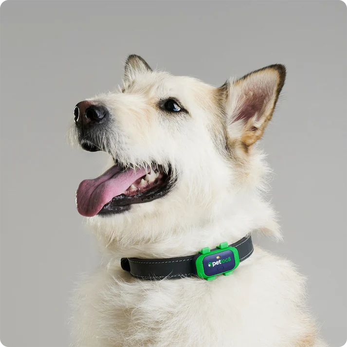 petloc8-gps-tracker