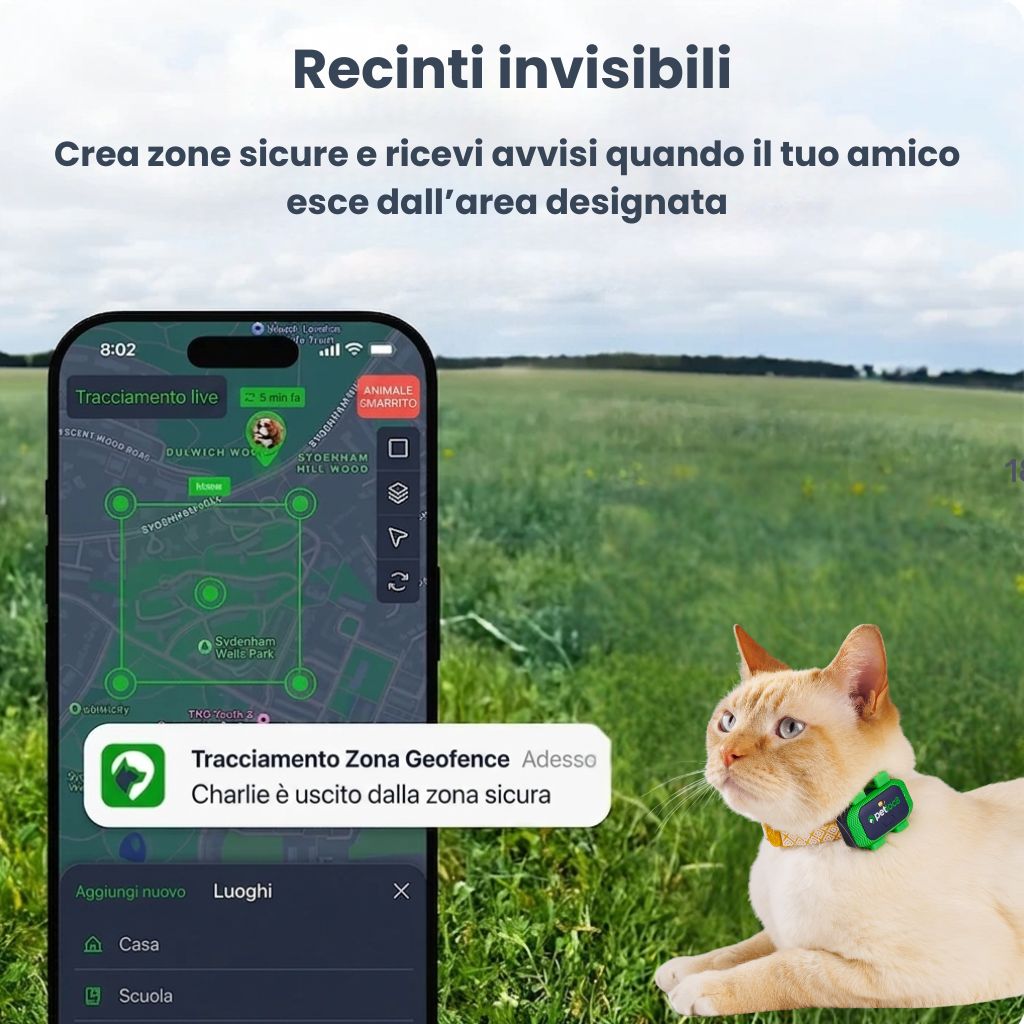 petloc8_mini_recinti