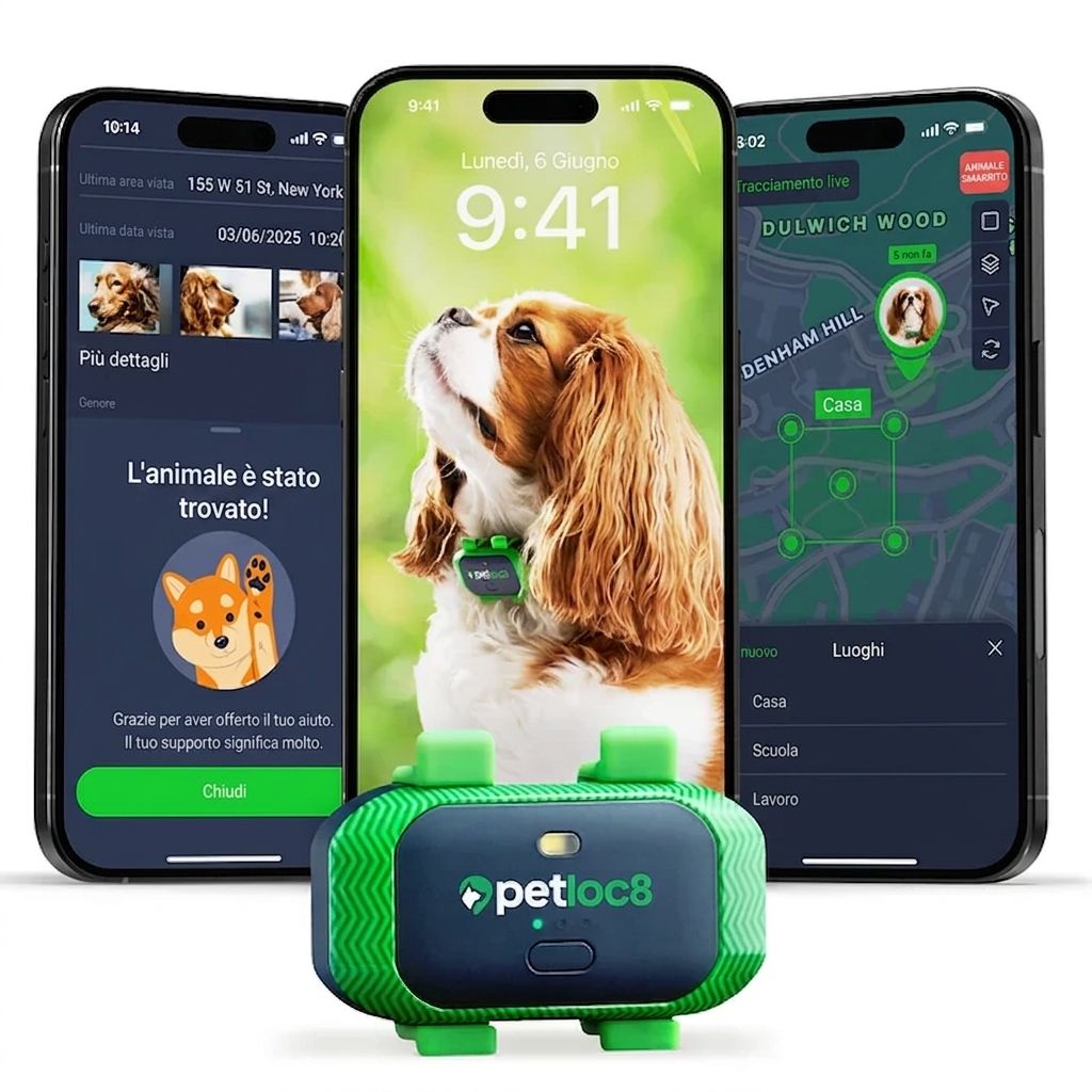 shop_1_petloc8