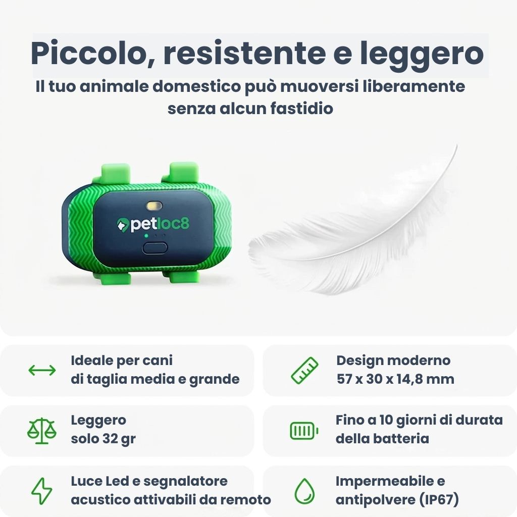 shop_2_petloc8